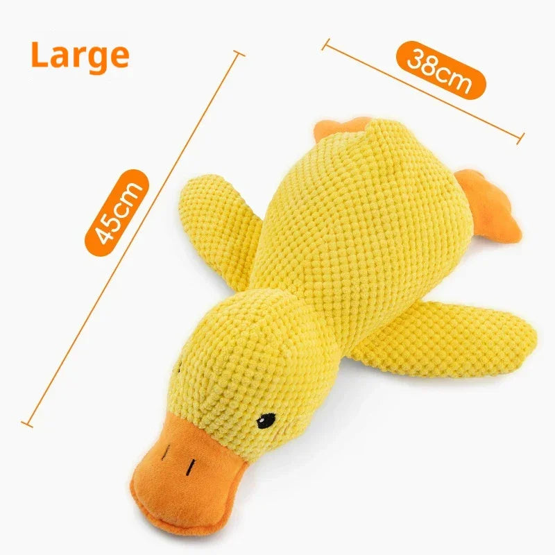 Duck Interactive ©