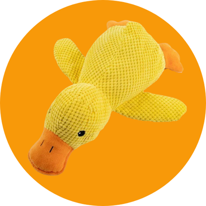 Duck Interactive ©