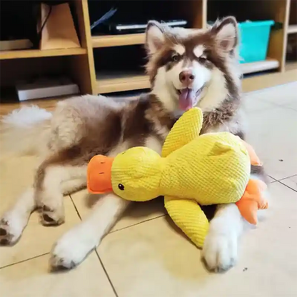 Duck Interactive ©